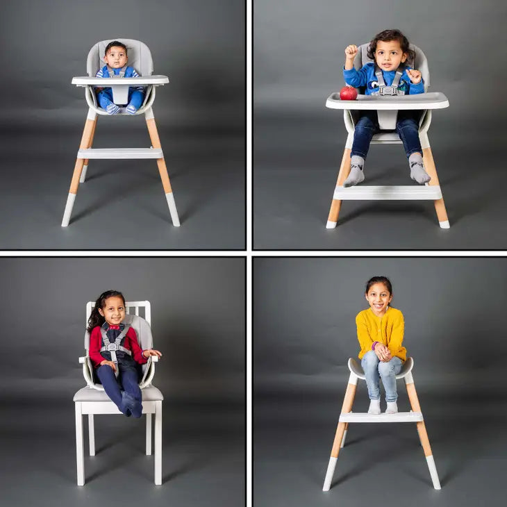 Red Kite Feed Me Combi 4-In-1 Highchair